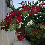 빌라 Casa Degli Aromi, San Lorenzo, 노토